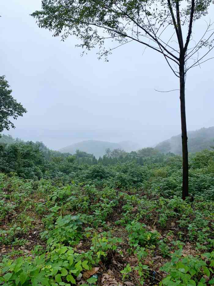 望湖岭景区停车场-"点评上15块一个人,但是我们去的时候30.