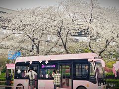 -南浦大桥长途旅游客运站