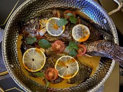 罗非鱼-Hi City·城市之巅