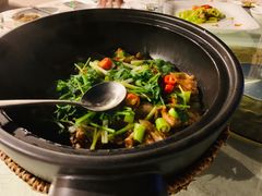 砂锅鱼头煲-小白鲨工夫潮膳(曲江店)