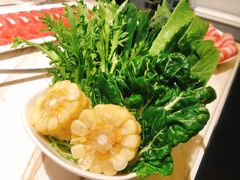 -汤城·料青山