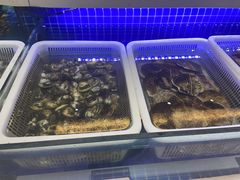 -大众海鲜(巨龙北路店)