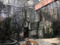 -南昌动物园