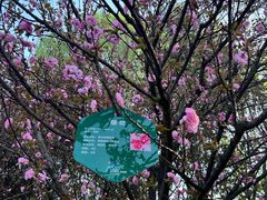 -城市运动公园(未央区)