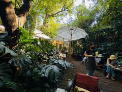 -Fern Forest Cafe