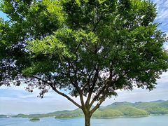 -天目湖涵田度假村