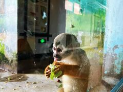 -大连森林动物园