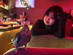 -鸡尾酒实验室酒吧(隆礼路店)