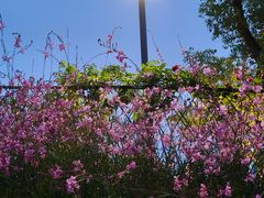 -宁波儿童公园(鄞州区)
