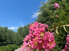 -元大都城垣遗址公园