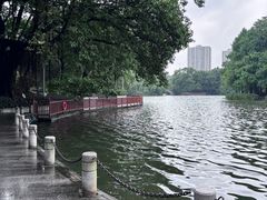 -荔湾湖公园