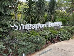 -新加坡植物园