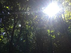 -野三坡百草畔景区