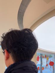 点击看大图 -SALON DE VANHADA