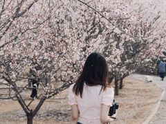 -太阳宫公园