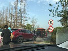 -上海长兴岛郊野公园