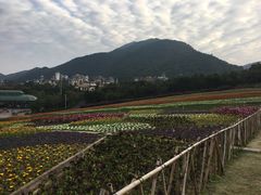-东部华侨城