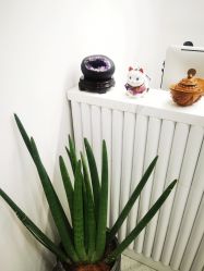 点击看大图 -苗方清颜·祛痘皮肤管理
