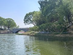 -大兴滨河森林公园