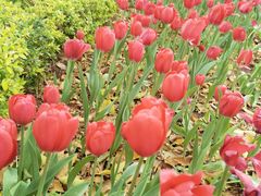 -热火朝天鲜切牛肉火锅(南强街巷店)