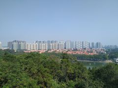 -东莞市虎英郊野公园