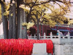-红螺寺