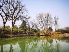 -西溪国家湿地公园