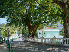-龙环葡韵住宅式博物馆