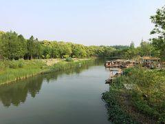 -上海长兴岛郊野公园