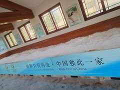 -郑州银基黄帝宫御温泉