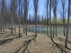 -东郊湿地公园
