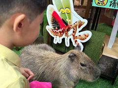 -正佳雨林生态植物园