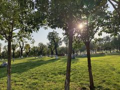 -汉长安城未央宫国家考古遗址公园