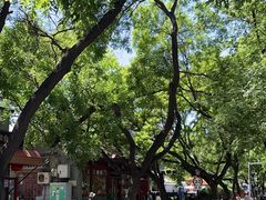-北京国子监胡同