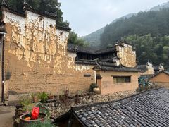 -杨家堂村