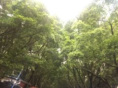 -黄埔古港