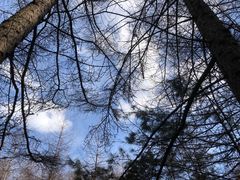 -秦岭风景区