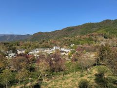 -塔川景区