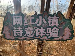 -诗经里