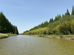 -黄海国家森林公园