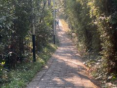 -水濂山森林公园