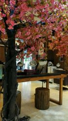 -红人馆造型世爵国际