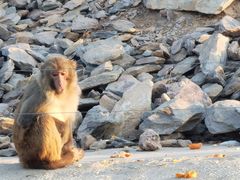 -石家庄市动物园