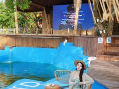-美人鱼悬崖海景餐厅(鹿嘴山庄店)