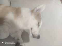 -平行世界·猫咖(首经贸店)
