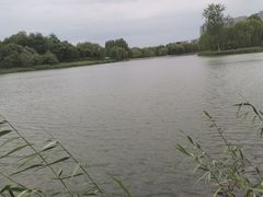 -大兴滨河森林公园