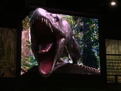 -国家自然博物馆