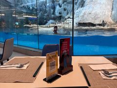 -帝企鹅自助餐厅•儿童岛•真企鹅(长隆企鹅酒店)