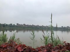 -美的鹭湖森林度假区