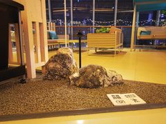 -皇品田苑日式料理(苏州中心店)